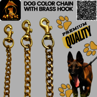 Yellow Gold Polish Grinded Twisted Iron Dog Chain With Brass Hook