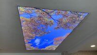 Garden Design Stretch Ceiling