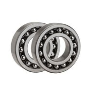 SS Ball Bearing