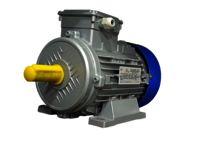 3PHASE ELECTRIC MOTOR