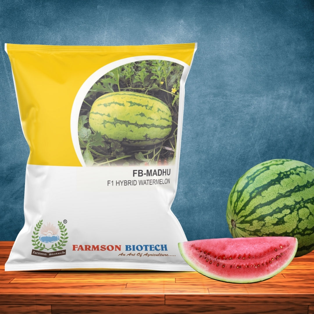 Watermelon Seeds FB-Madhu F1 Hybrid