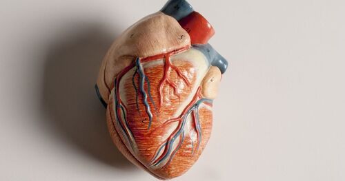 Science heart