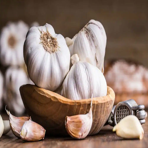 Fresh White Garlic