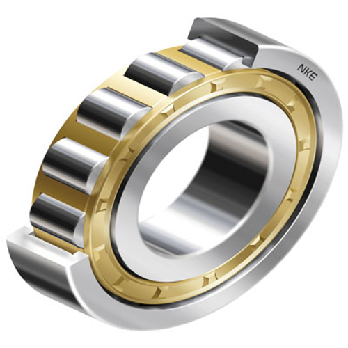 Single Raw Roller Bearings