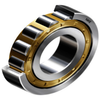 Single Raw Roller Bearings