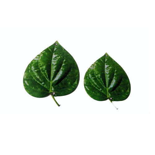 Printed MDF Leaf For Decoration