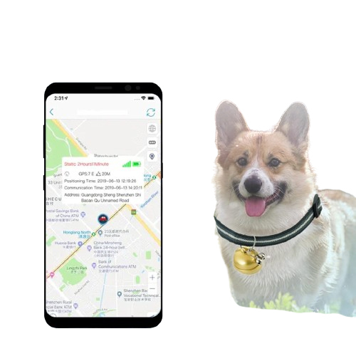 Live Tracking Device