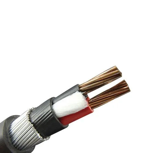 Rr Kabel 2 Core Xlpe Cables - Application: Industrial