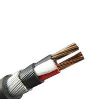 RR Kabel 2 Core XLPE Cables