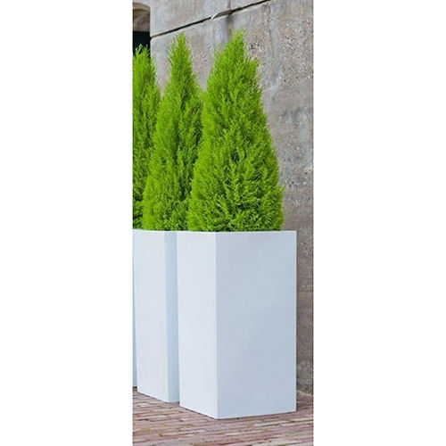 Outdoor Frp Planter - Color: Green