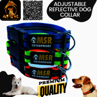 Adjustable Reflective Dog Collar PP / NYLON