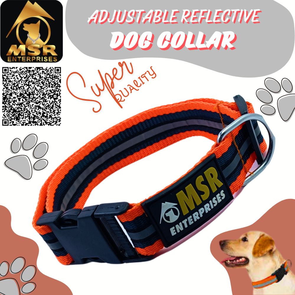 Adjustable Reflective Dog Collar PP / NYLON