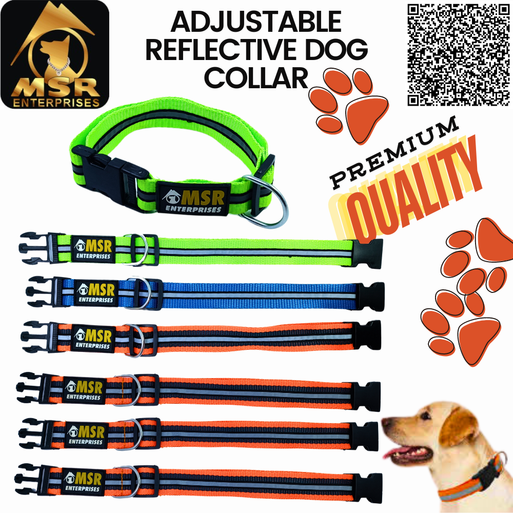 Adjustable Reflective Dog Collar PP / NYLON