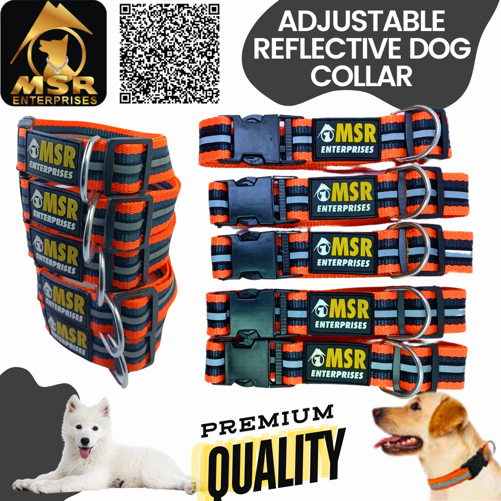 Adjustable Reflective Dog Collar PP / NYLON