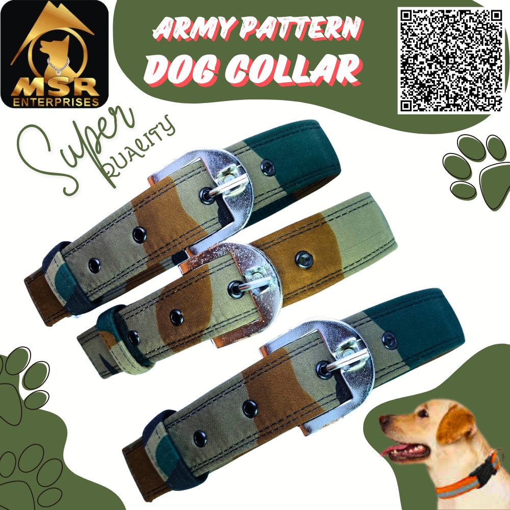 Army Pattern Dog Collar