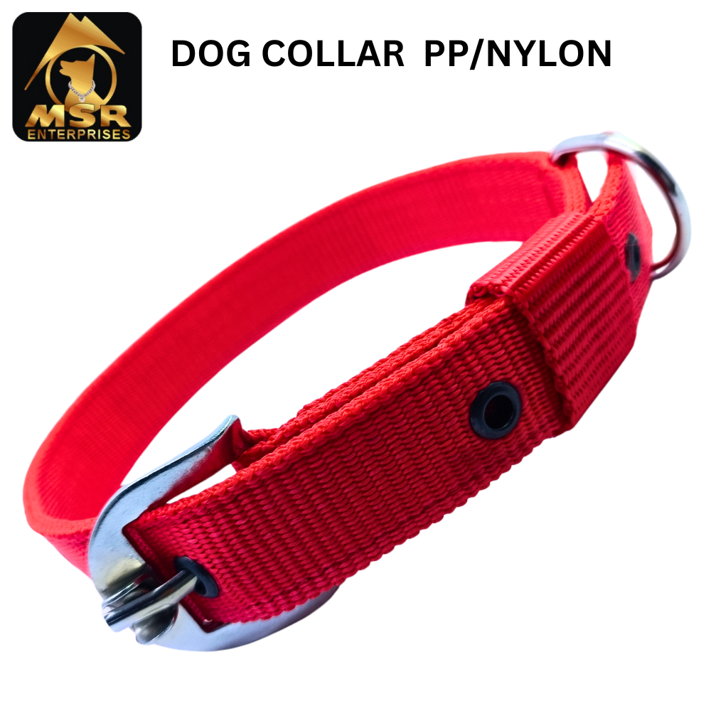 Double Layer Dog Buckle Collar  PP / NYLON