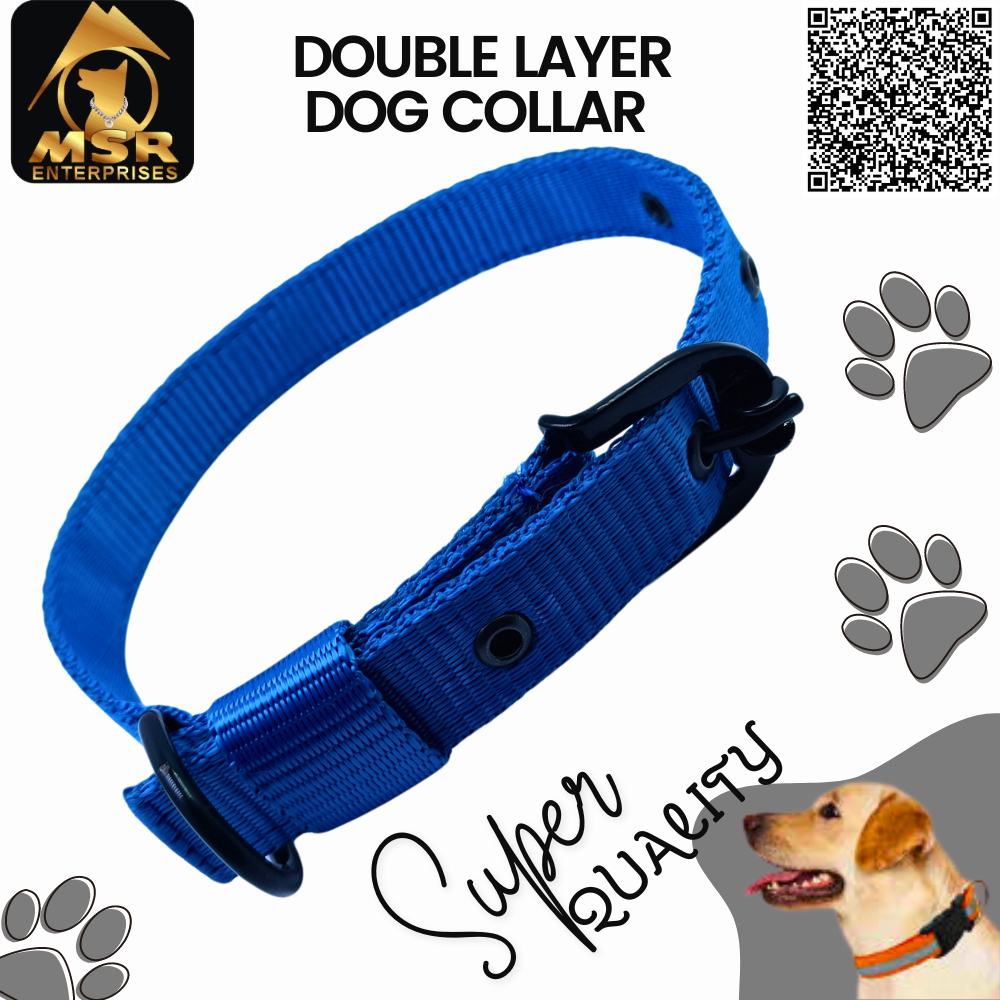 Dog Collar & Buckle