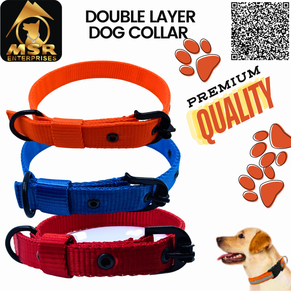 Dog Collar & Buckle