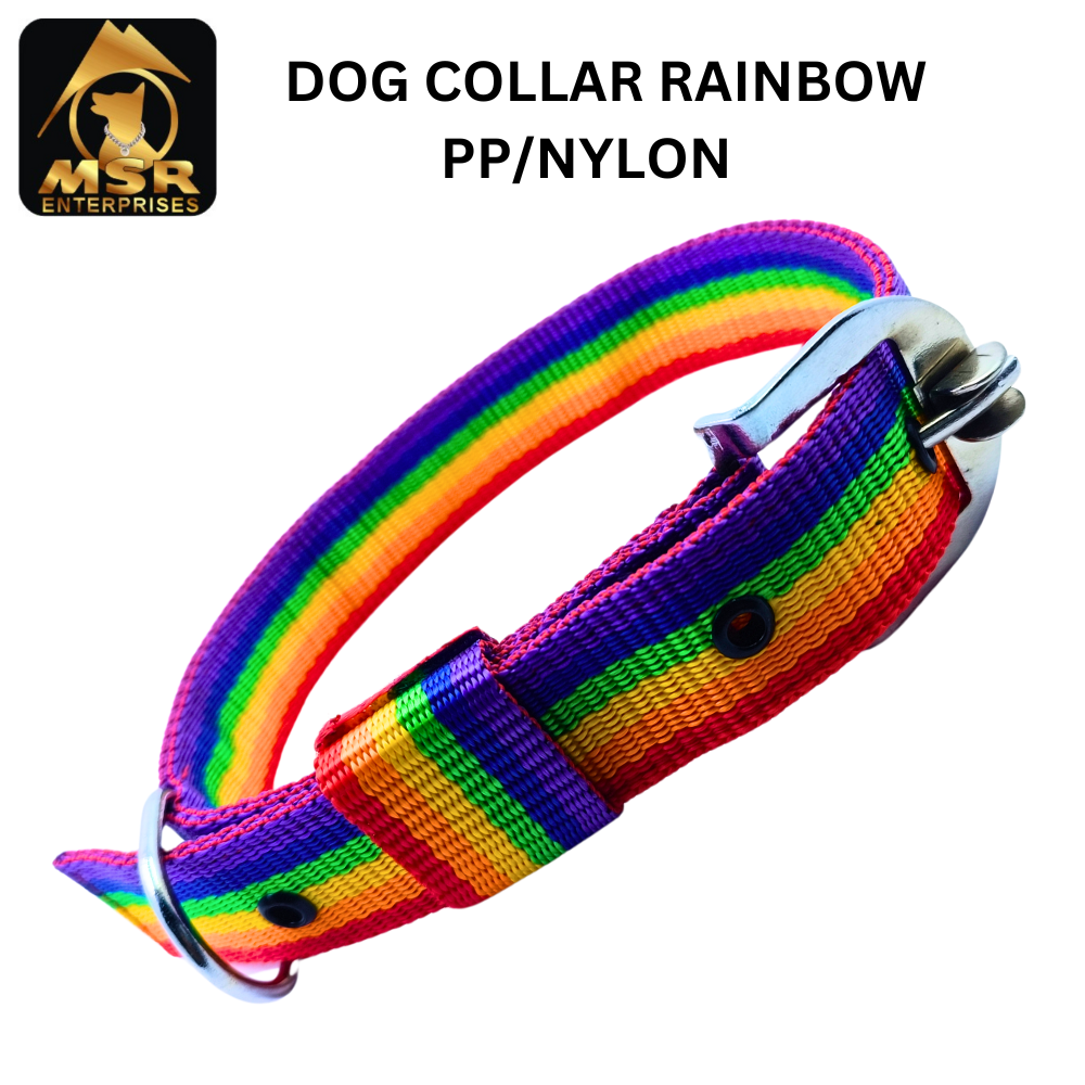 Double Layer Dog Buckle Collar  PP / NYLON