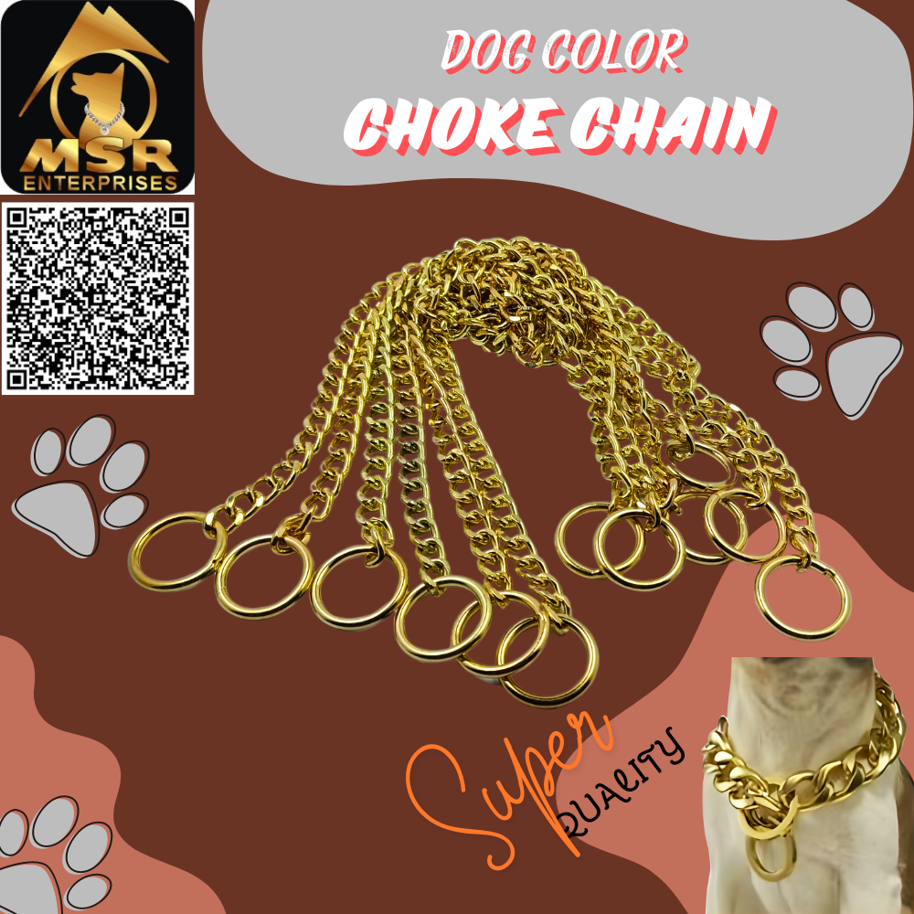 Dog Chain Choke Yellow Gold