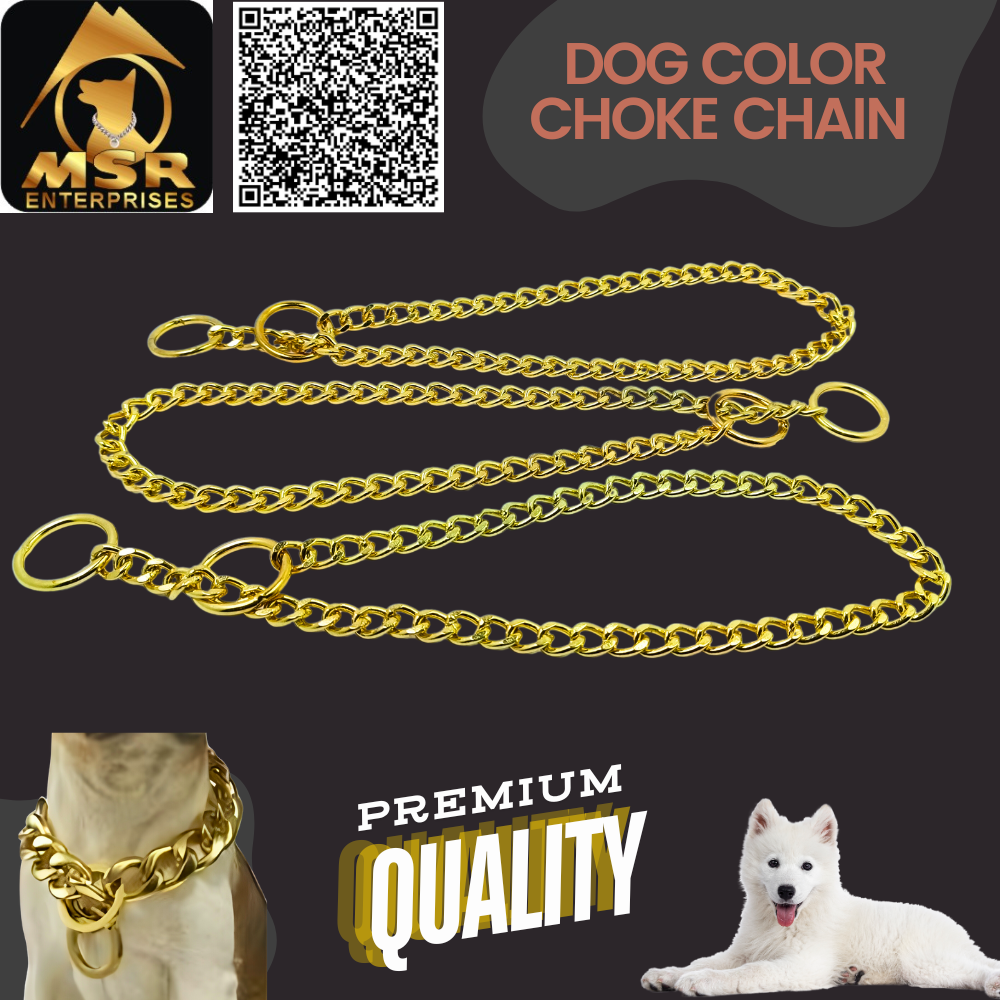 Dog Chain Choke Yellow Gold