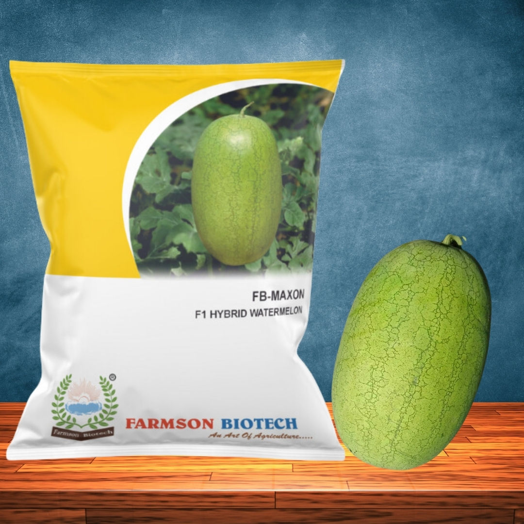 Watermelon Seeds FB-Maxon F1 Hybrid