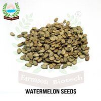 Watermelon Seeds FB-Akkay F1 Hybrid