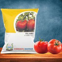 Tomato Seeds FB-Jambo F1 Hybrid