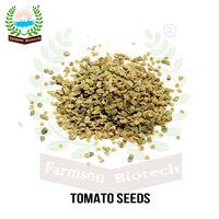 Tomato Seeds FB-Jambo F1 Hybrid