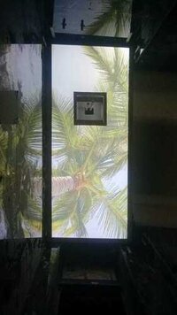 Window Stretch Ceiling - Color: Any