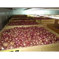 Onion Cold Storage Room - Climate Type: Cool