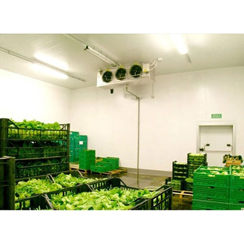 Vegetable Cold Storage Chamber - Climate Type: Cool