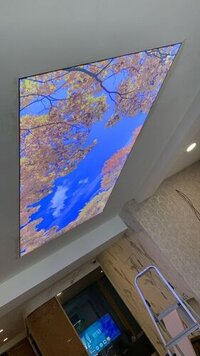 Bird Design Stretch Ceiling - Pattern: Customize
