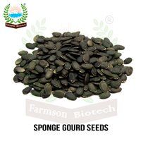 Sponge Gourd Seeds FB-Prabhas F1 Hybrid