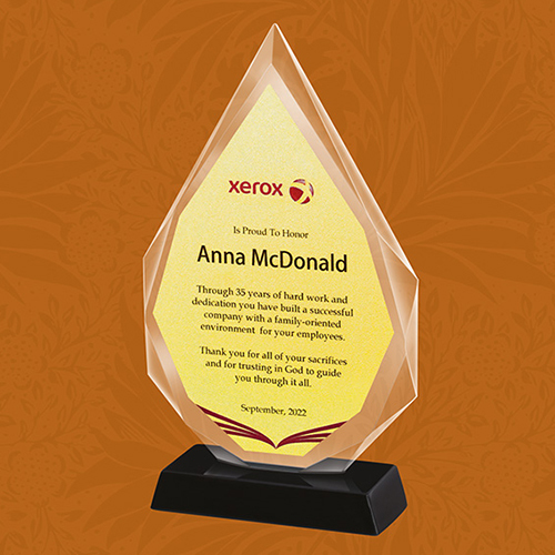 10.25x6 Inch Glass Trophy