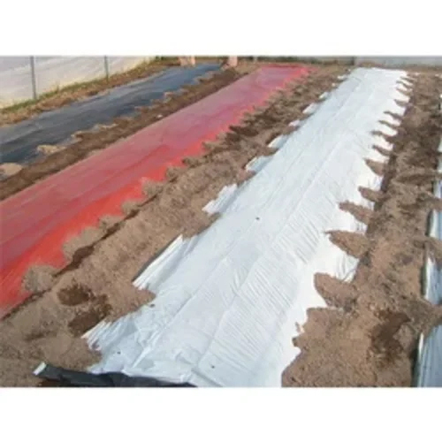 Black and Silver Mulch Film