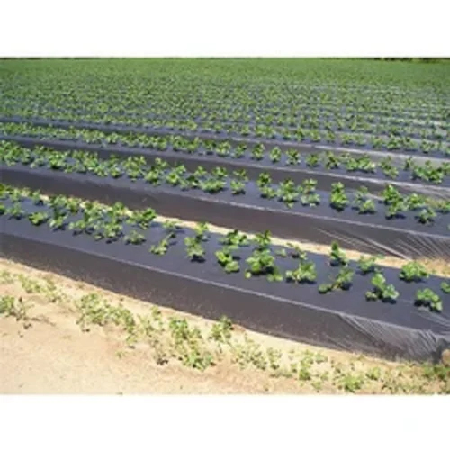 Agriculture Mulch Film