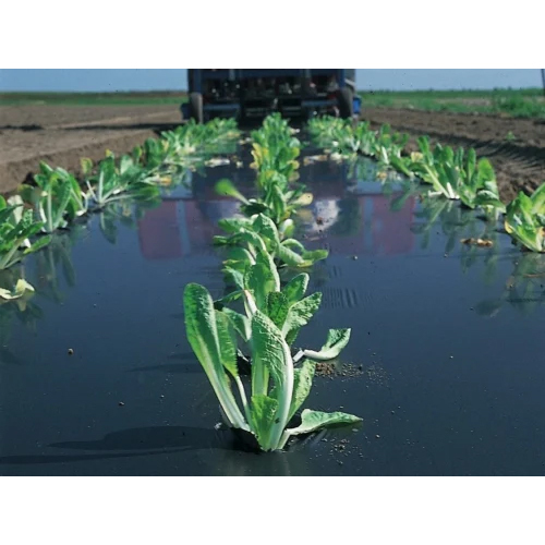 Biodegradable Mulch Film