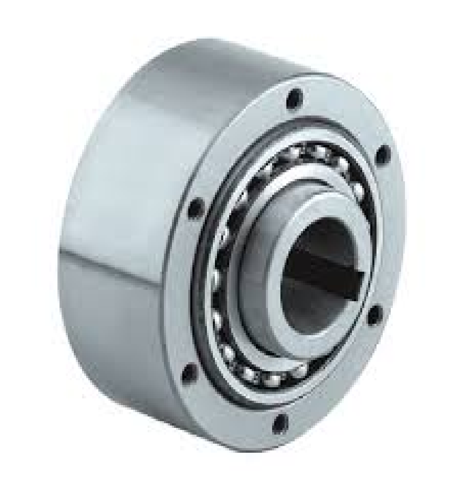 Cam Clutch Bearing