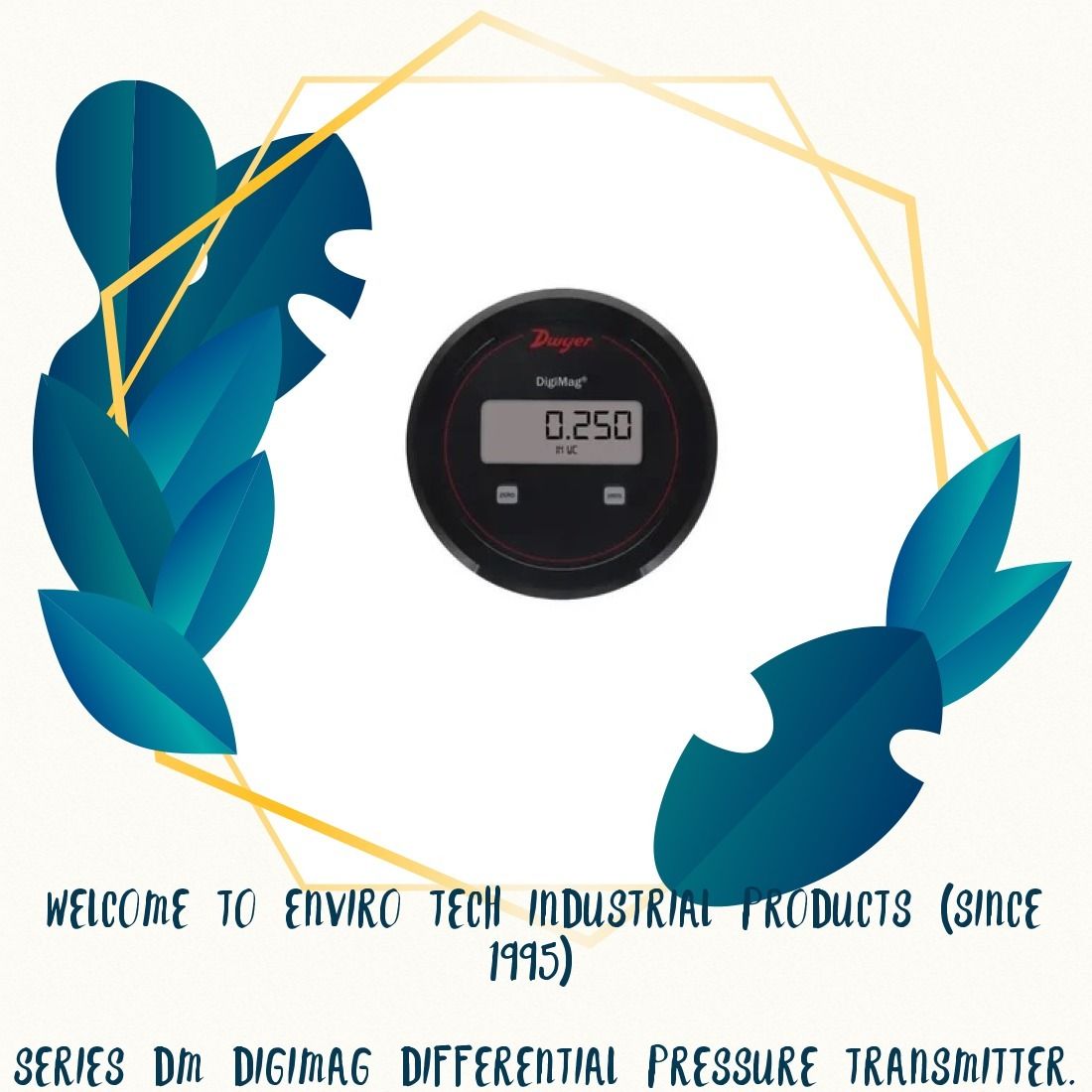 Dwyer DM-256 DigiMag Differential Pressure Transmitter Range 250-0-250 Pa