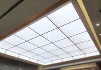 Airports Stretch Ceiling