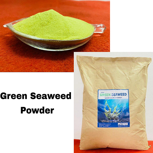 Green Seaweed Powder