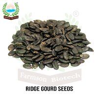 Ridge Gourd Seeds FB-Reva F1 Hybrid