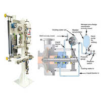 Api Plant - Color: White