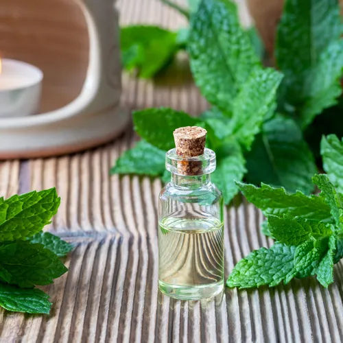 Peppermint Essential Oil - Age Group: All Age Group