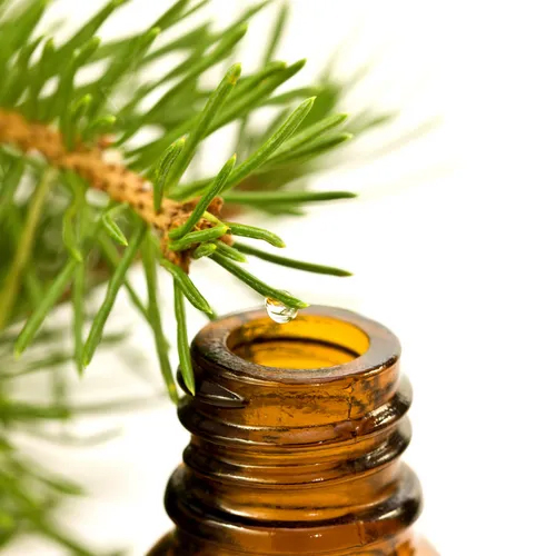 Tea Tree Essential Oil