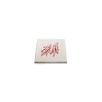 Frozen Chicken Feet