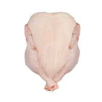 Frozen Halal Chicken Griller - Whole Chicken (800 - 2500 Grams) | Baked And Roasted With Natural Flavor, Versatile For Various Dishes, Custom Pack Options