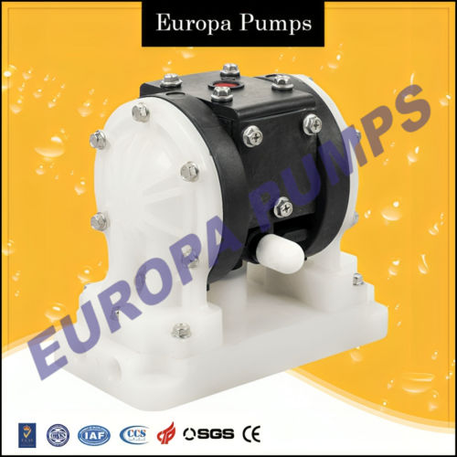 0.25 Inch Pvdf Aodd Pump - Color: White & Black