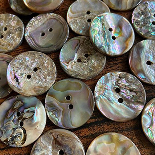 Abalone Buttone